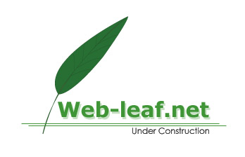 web-leaf.net